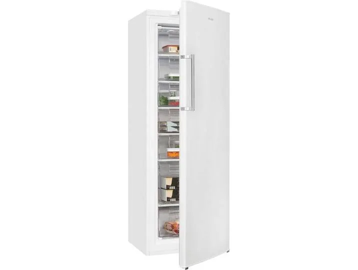 Gefrierschrank NoFrost GS280-HE-040D, 171 cm hoch, 60 cm breit, 4*-Gefrierschrank No Frost mit LED-Anzeige & praktischem Griff van Exquisit – productfoto